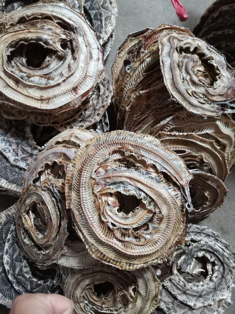 正品药用蕲蛇干全排血，纯清水货，当面交易