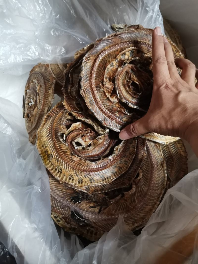 正品药用蕲蛇干全排血，纯清水货，当面交易