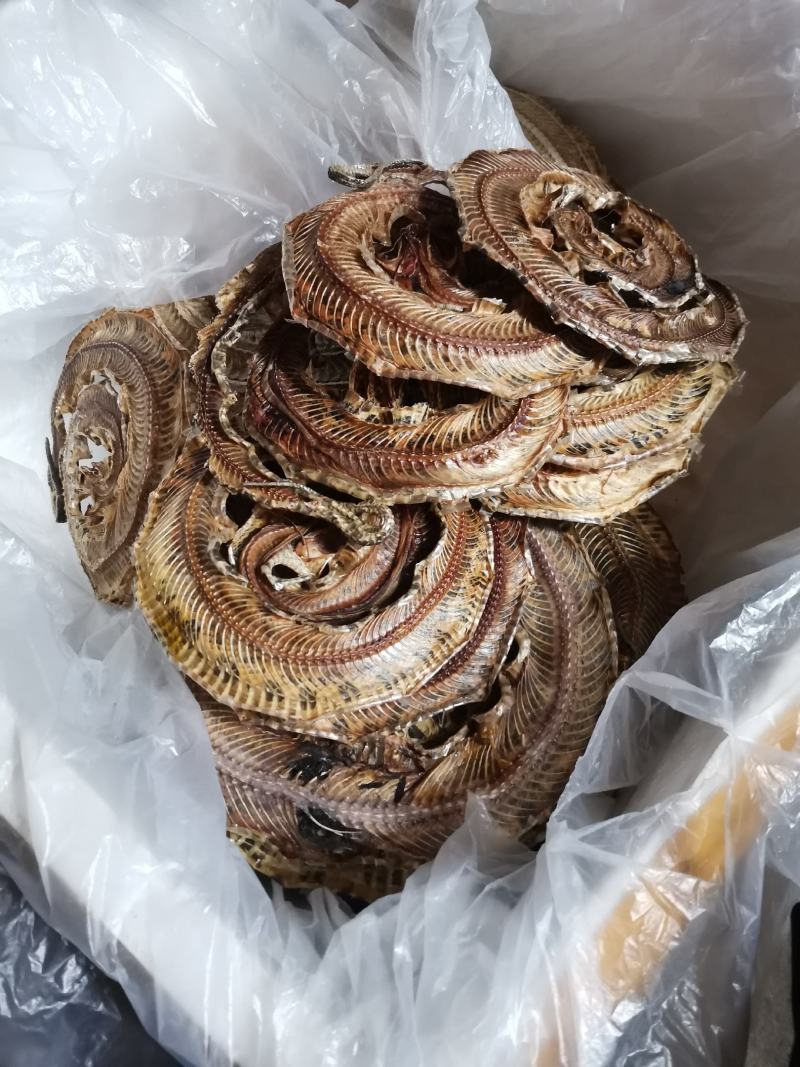 正品药用蕲蛇干全排血，纯清水货，当面交易