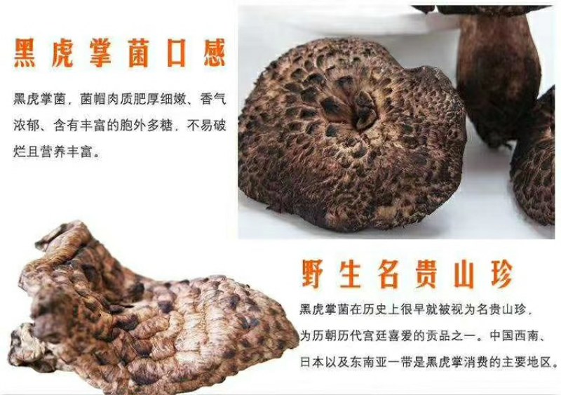 舌尖上的美味…野生菌品种多，