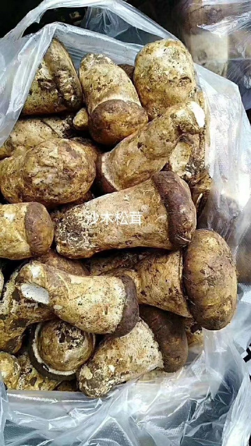 舌尖上的美味…野生菌品种多，