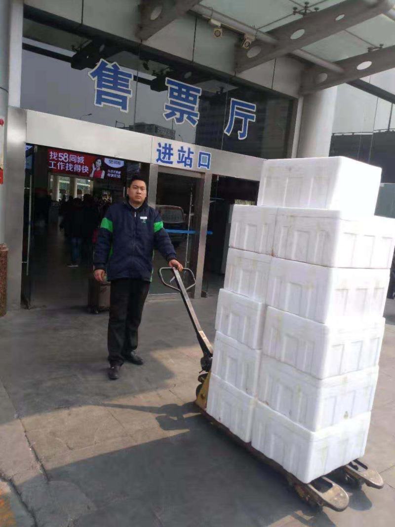 西兰花苗，山东产地，诚信经营，服务优，全国发货，包1