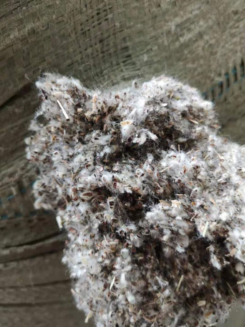 新疆库车沙雅生物质颗粒，燃烧颗粒，碳化秸秆