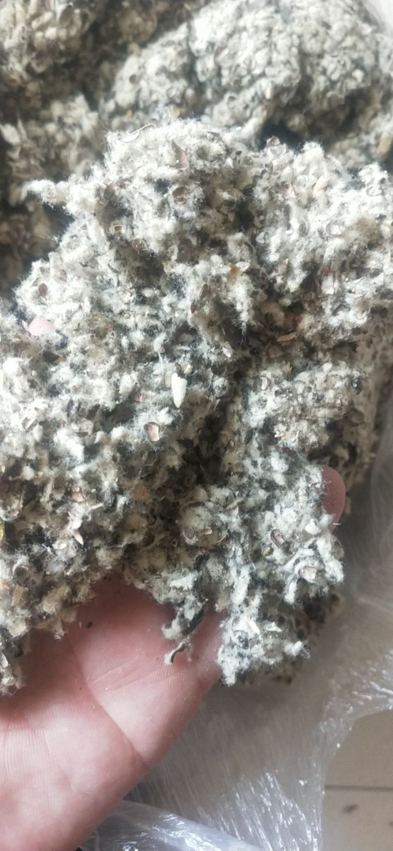 新疆库车沙雅生物质颗粒，燃烧颗粒，碳化秸秆