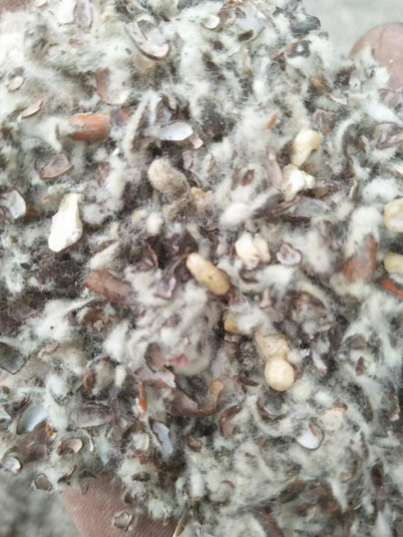 新疆石河子生物质颗粒，燃烧颗粒，碳化秸秆