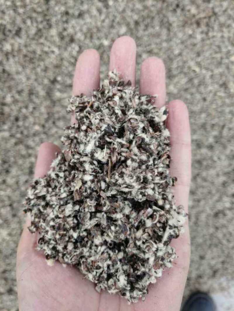 新疆阿克苏生物质颗粒，燃烧颗粒，碳化秸秆