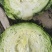 甘肃靖远产地直销、甘蓝中皮货、加工厂货、无虫无老化