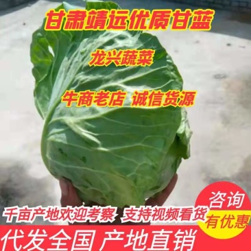 甘肃靖远产地直销、甘蓝中皮货、加工厂货、无虫无老化