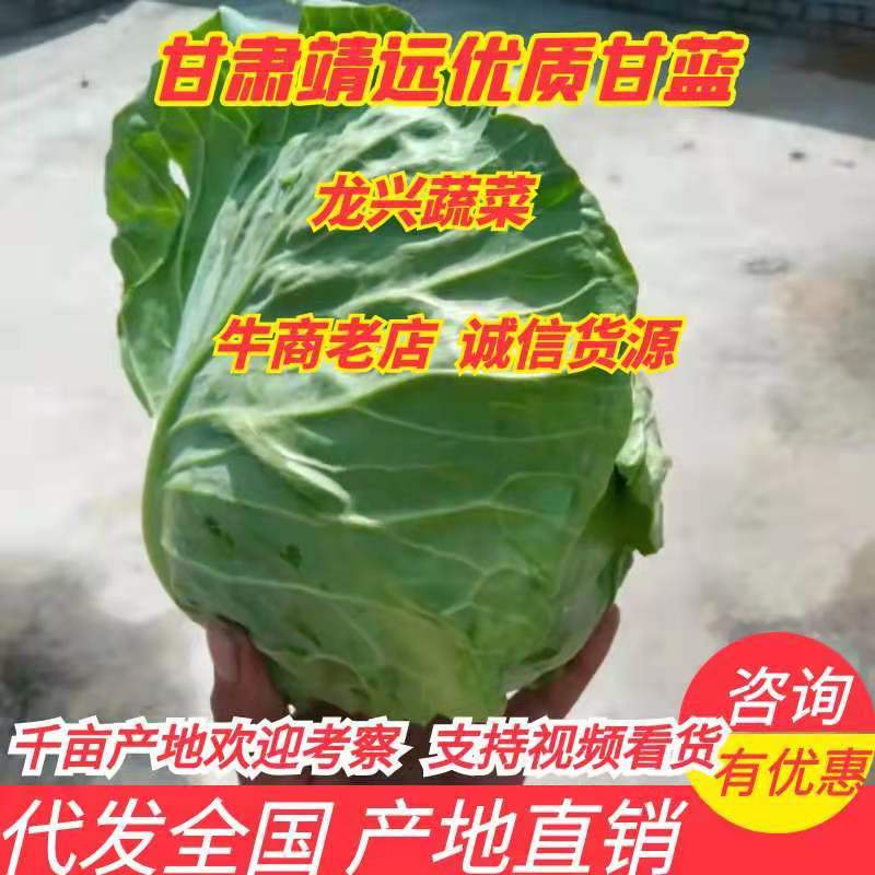 甘肃靖远产地直销、甘蓝中皮货、加工厂货、无虫无老化