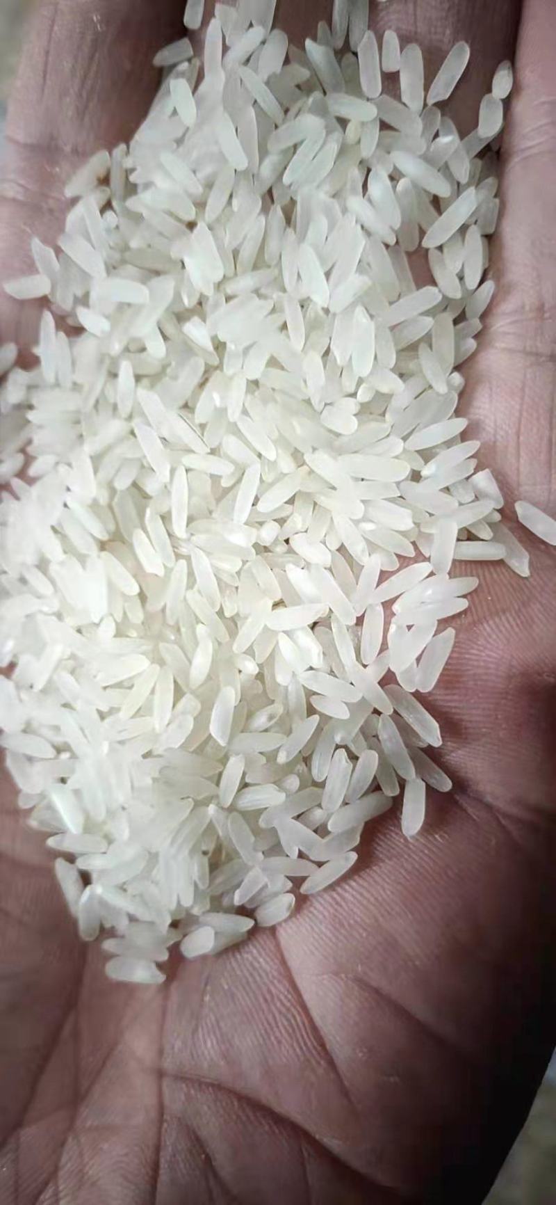25年黄花粘，口感好，颜色白亮，纯度99