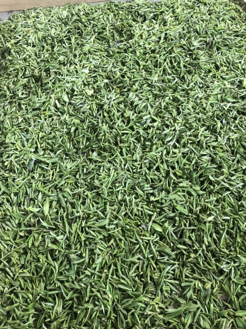 杭州西湖龙井2021新茶上市