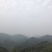杭州西湖龙井2021新茶上市
