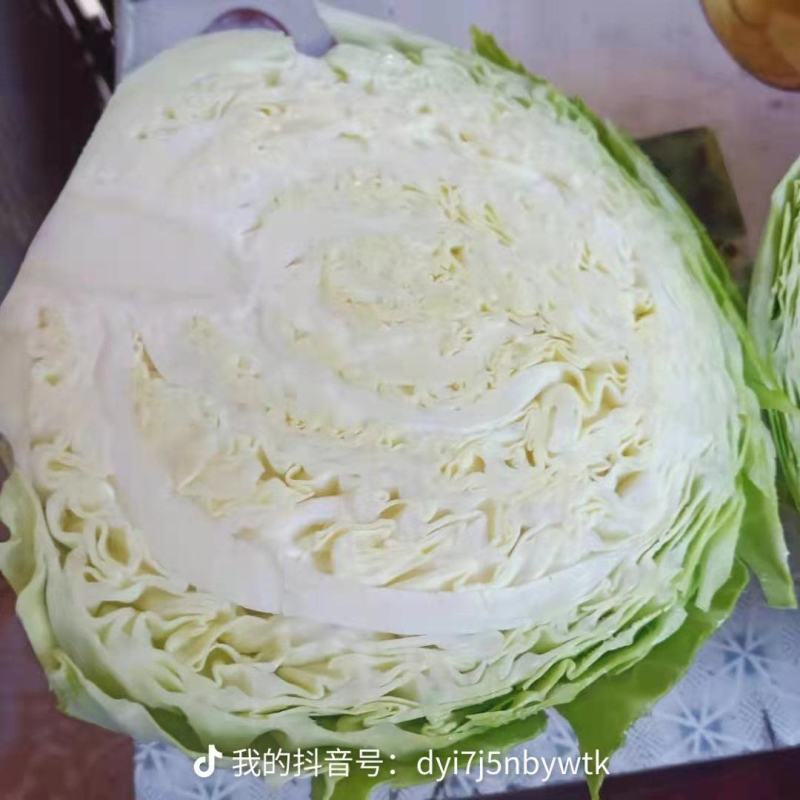 茴子白大量上市量大从优