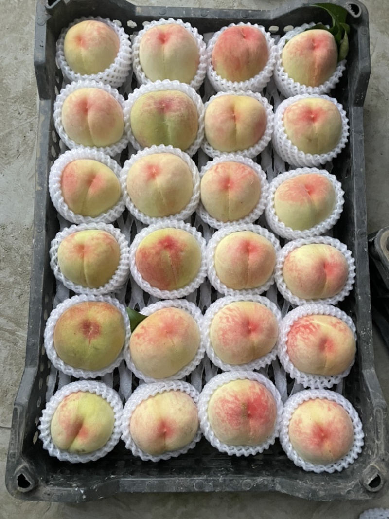 顺平水蜜桃、深山里，泉水灌溉，口感鲜美