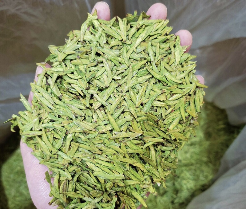 龙井绿茶新茶上市