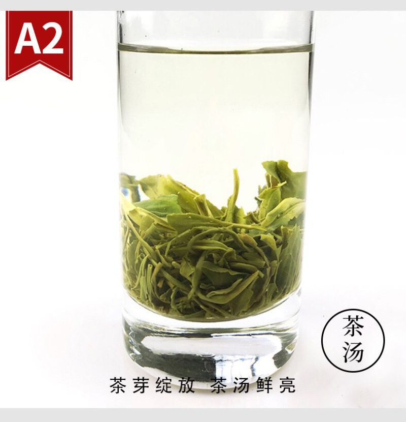 碧螺春绿茶厂家直销批发2021新茶