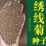绣线菊种子抗旱抗寒花卉景观易播易种绿植庭院花海珍珠梅种籽