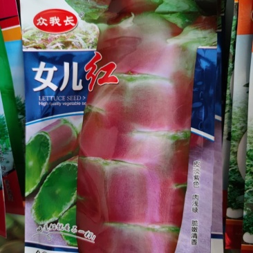 红尖叶香莴笋种子皮红肉绿
