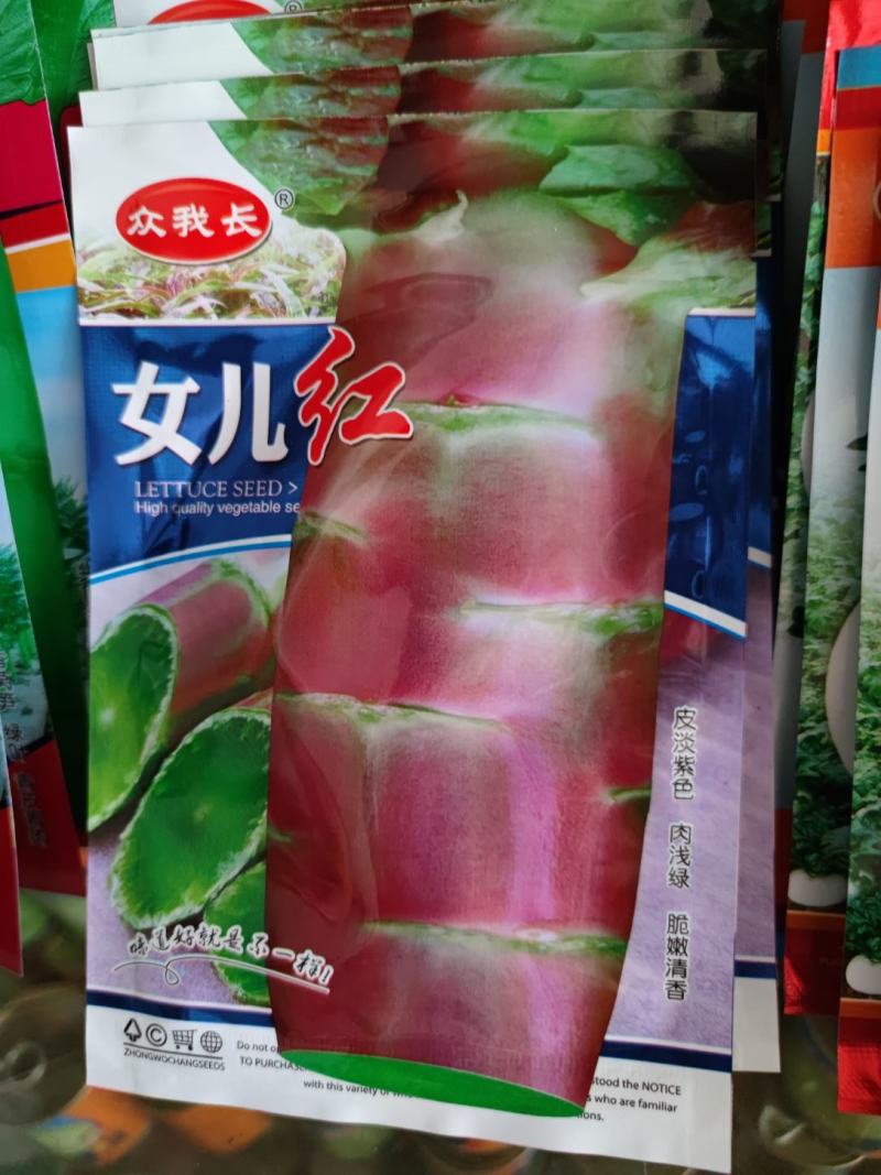 红尖叶香莴笋种子皮红肉绿