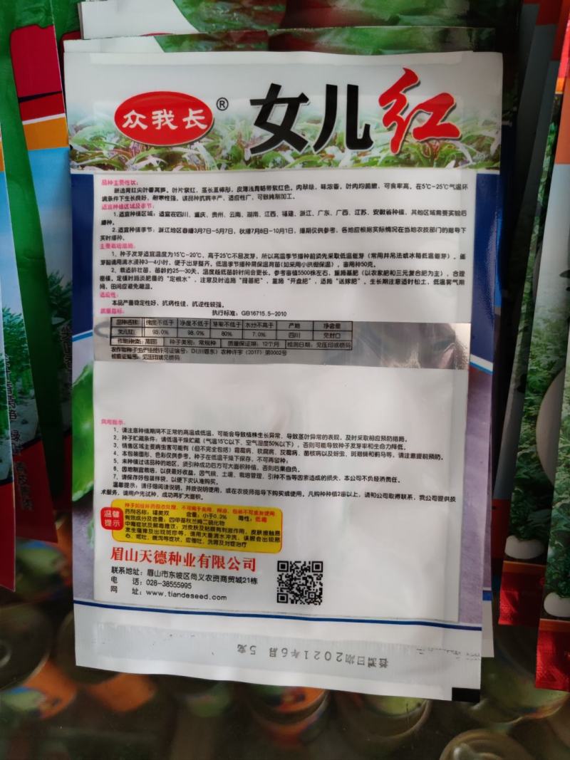 红尖叶香莴笋种子皮红肉绿
