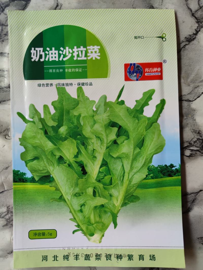 奶油沙拉菜种子口感甜脆