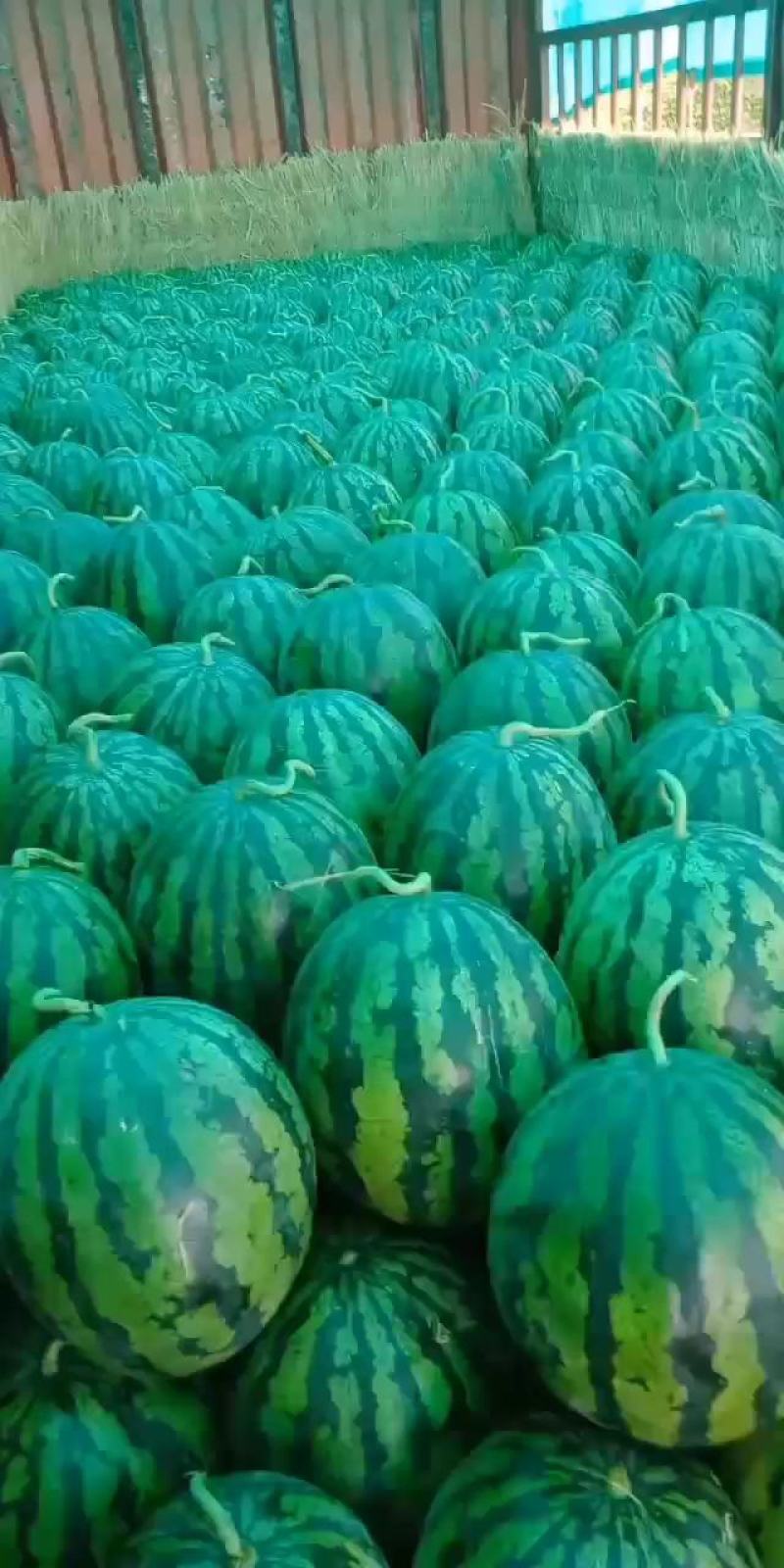 甜王