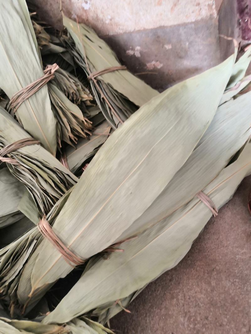 箬叶，干粽叶，8公分以上的。