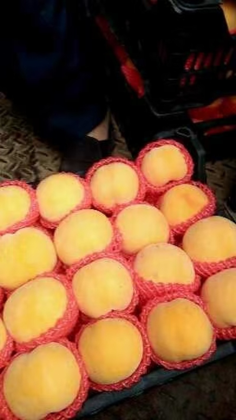 黄毛，黄油，突围，毛桃，大量有货