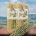 新鲜铁皮石斛礼盒装野生根须粉