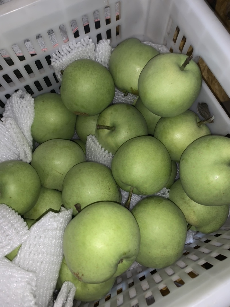 大量供应绿宝石梨脆甜多汁