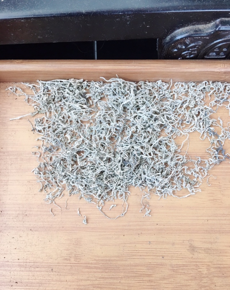 正宗恩施硒藤茶龙须芽尖原产地直供一件代发