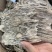 印尼沉香1.0以上含量达国标正品包油海南沉香