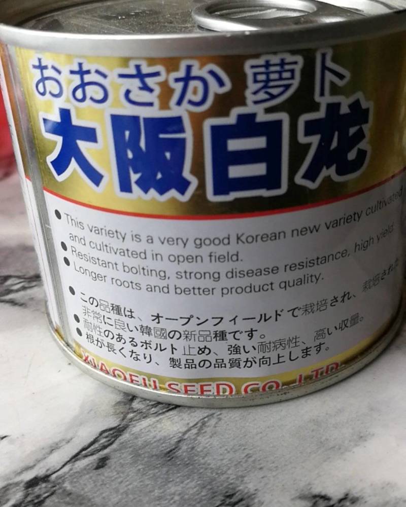 大阪白龙萝卜种耐抽苔抗病力强。