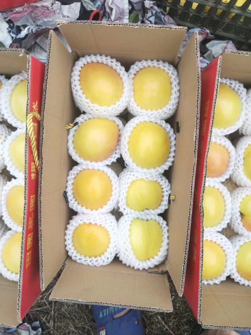 黄油桃马上成熟