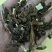一公斤包邮溪黄草供应干货量大从优