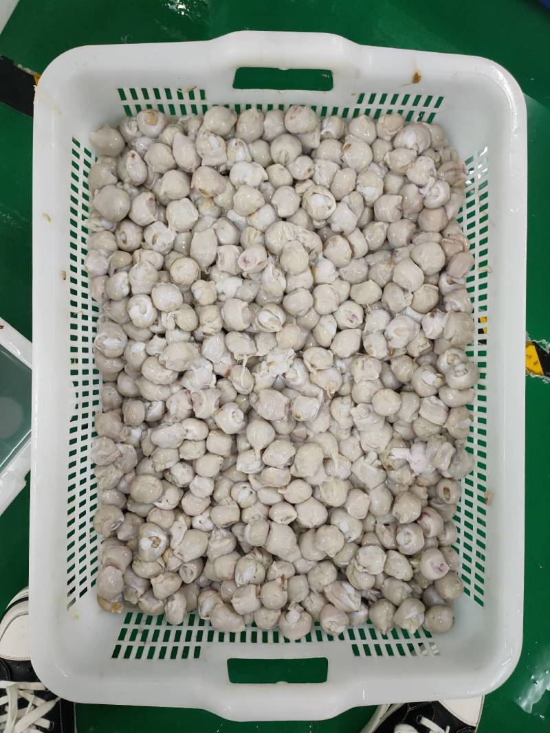 秘鲁鱿鱼去牙嘴