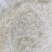 草鱼水花、鱼苗、质量优良、全国发货，欢迎咨询！