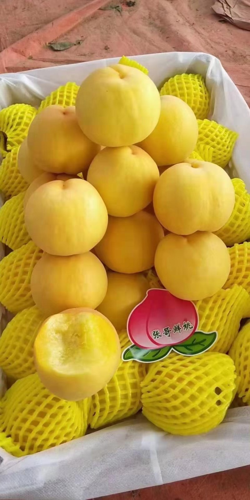 陕西金脆蜜蟠桃，锦绣蟠桃价格，黄金蟠桃批发，货源充足