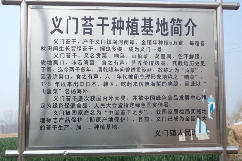 贡菜干涮火锅餐饮都好吃原产地供货一手货源