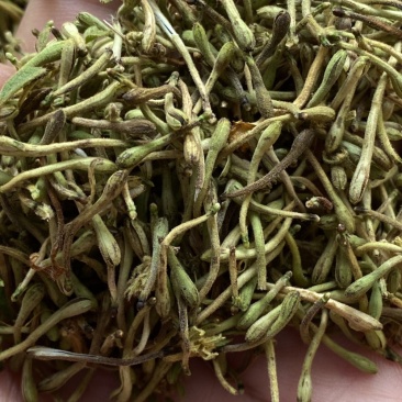 金银花纯花蕾颗粒饱满色青杂质非常少生晒无硫