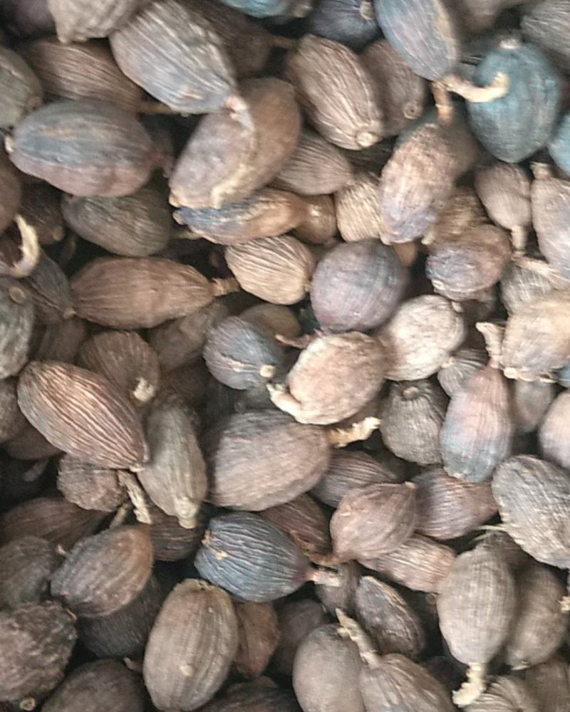 草果，大颗粒草果卤料香料家庭必备调味品