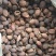 草果，大颗粒草果卤料香料家庭必备调味品