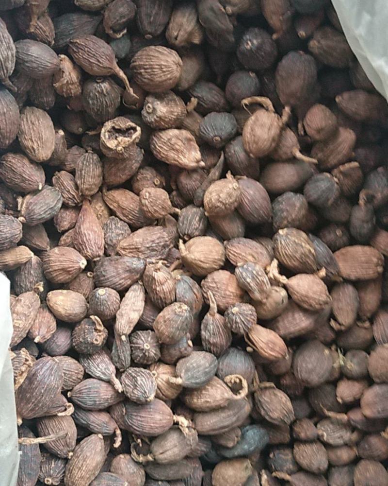 草果，大颗粒草果卤料香料家庭必备调味品