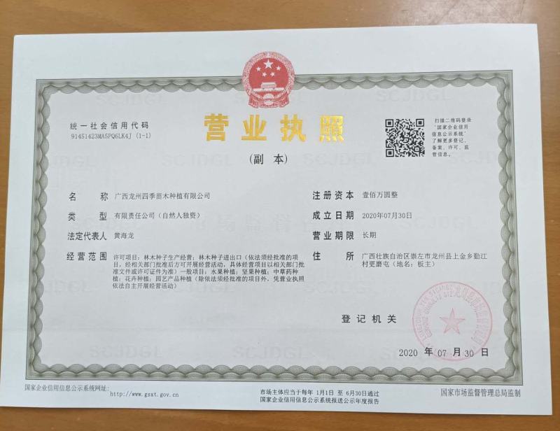 进口牛奶果嫁接苗产地直发