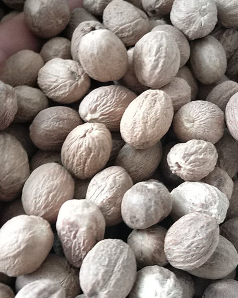 特级肉豆蔻
