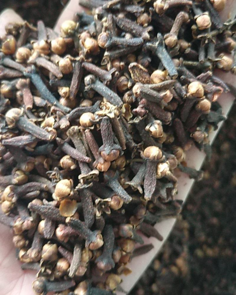 优质大红丁香，颜色红，干度好，颗粒大，带花蕾