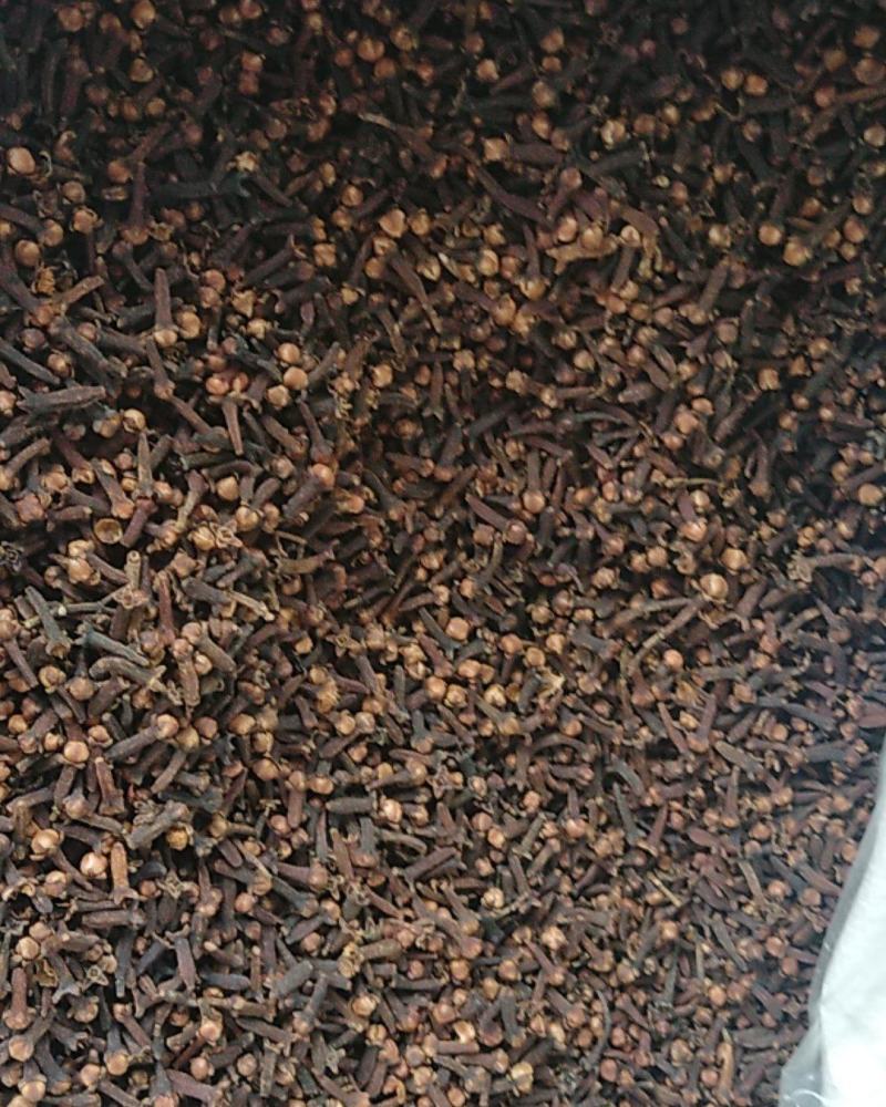 优质大红丁香，颜色红，干度好，颗粒大，带花蕾