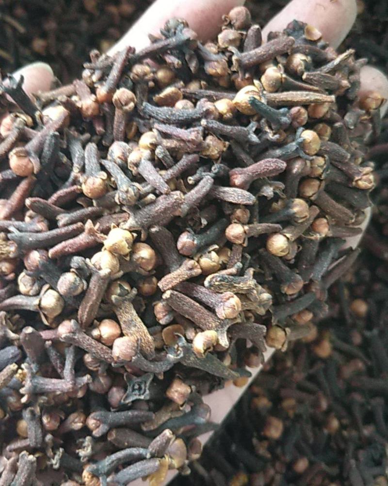 优质大红丁香，颜色红，干度好，颗粒大，带花蕾
