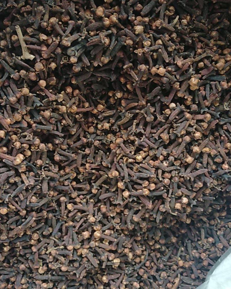 优质大红丁香，颜色红，干度好，颗粒大，带花蕾