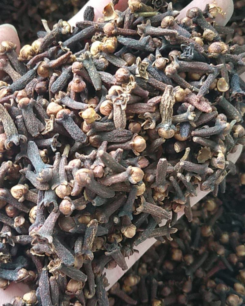 优质大红丁香，颜色红，干度好，颗粒大，带花蕾